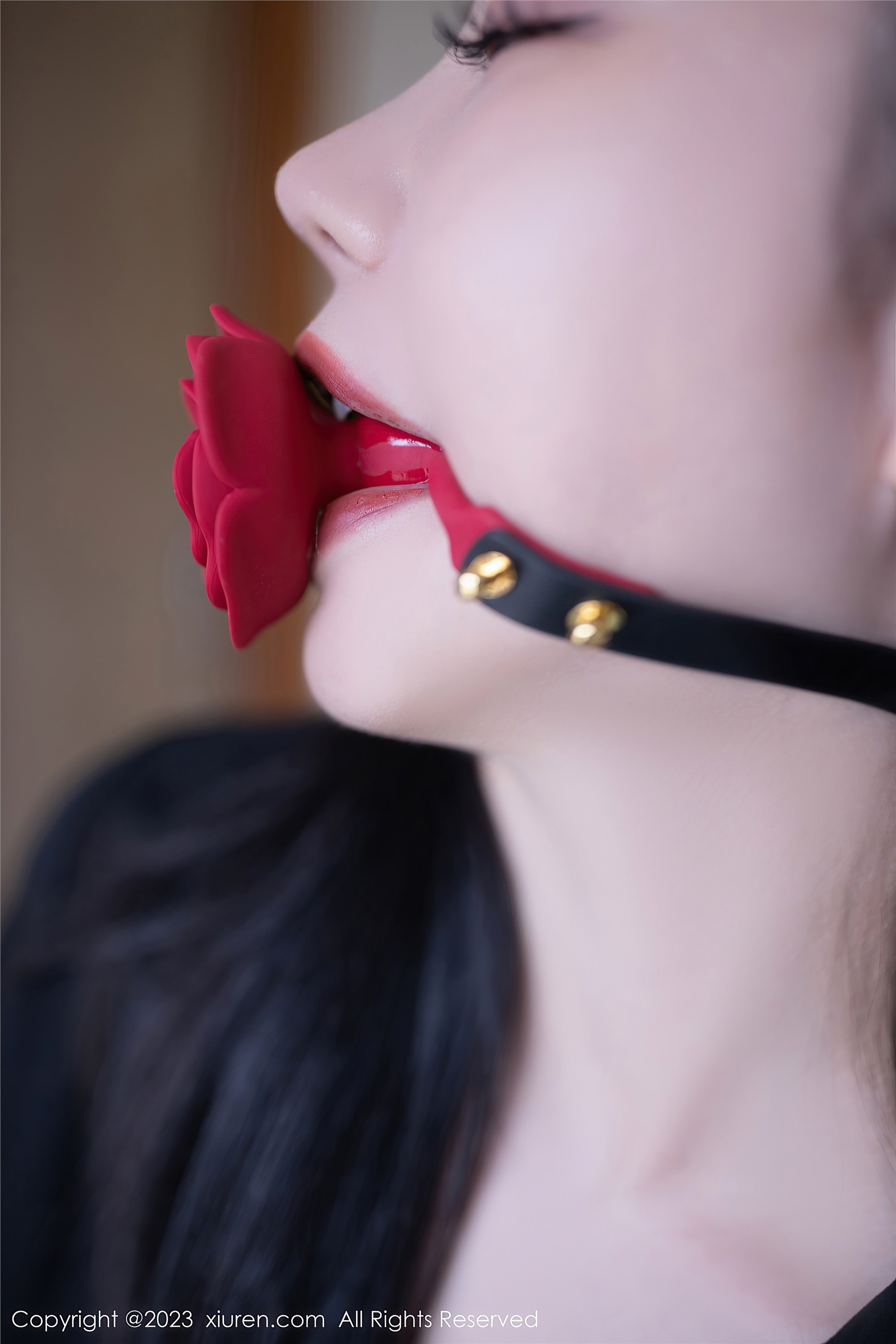 XiuRen秀人网  2023.06.06 NO.6867 安然anran